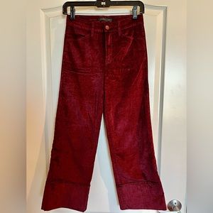 Level 99 Red Velvet Pants, size 24